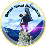 Mount Sinai Logo